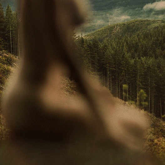 WYLDE GOLD | Elemental Beauty. Untamed Nature. Sacred Rituals. thumbnail