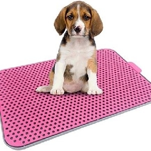 Sanitário Canino Banheiro Pet thumbnail