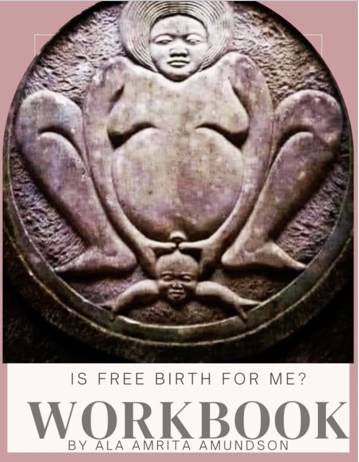 Birth Free Resources Portal thumbnail