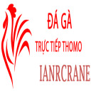 @dagaianr · Đá Gà Trực Tiếp Thomo thumbnail