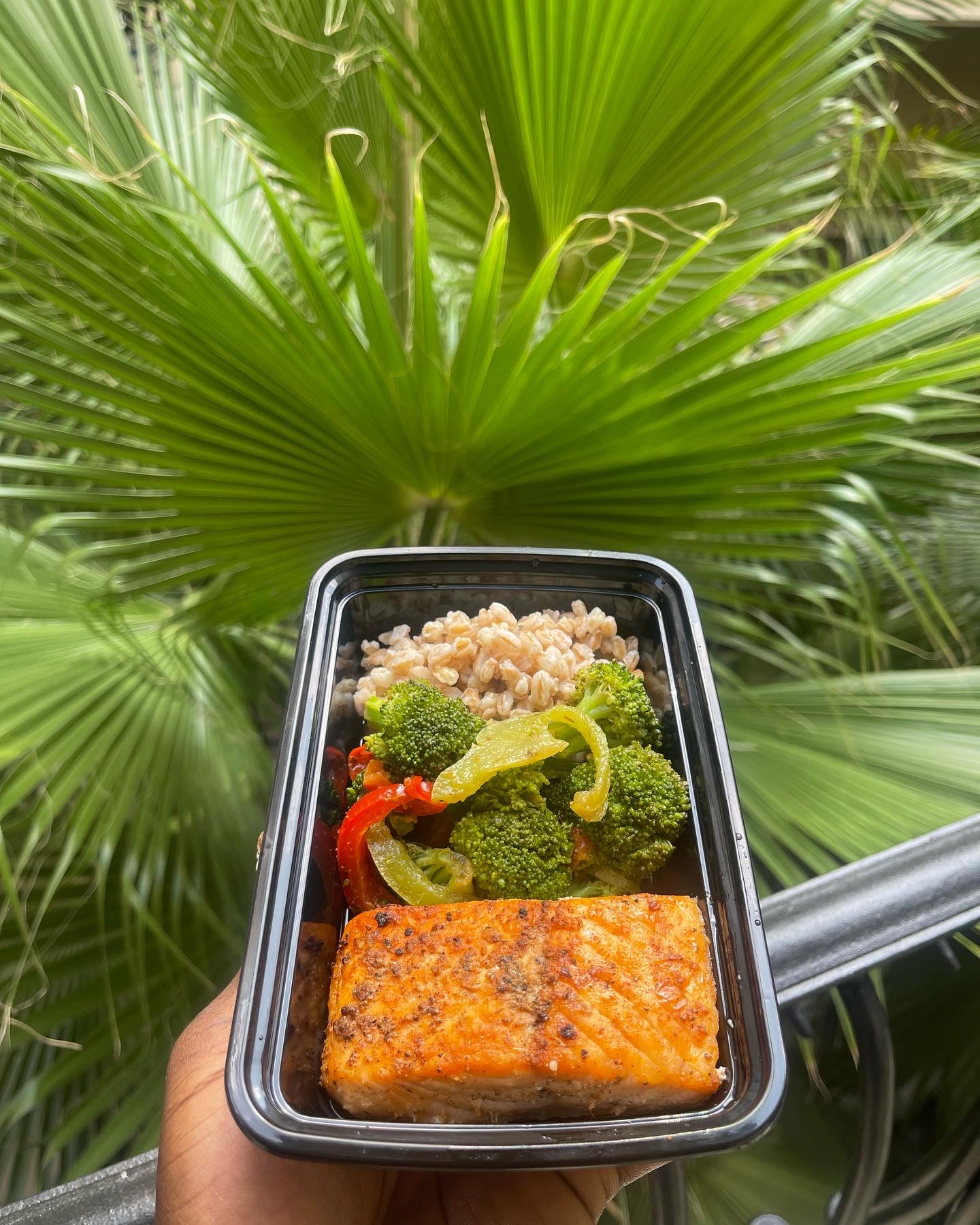 MEAL PREP SERVICE  thumbnail