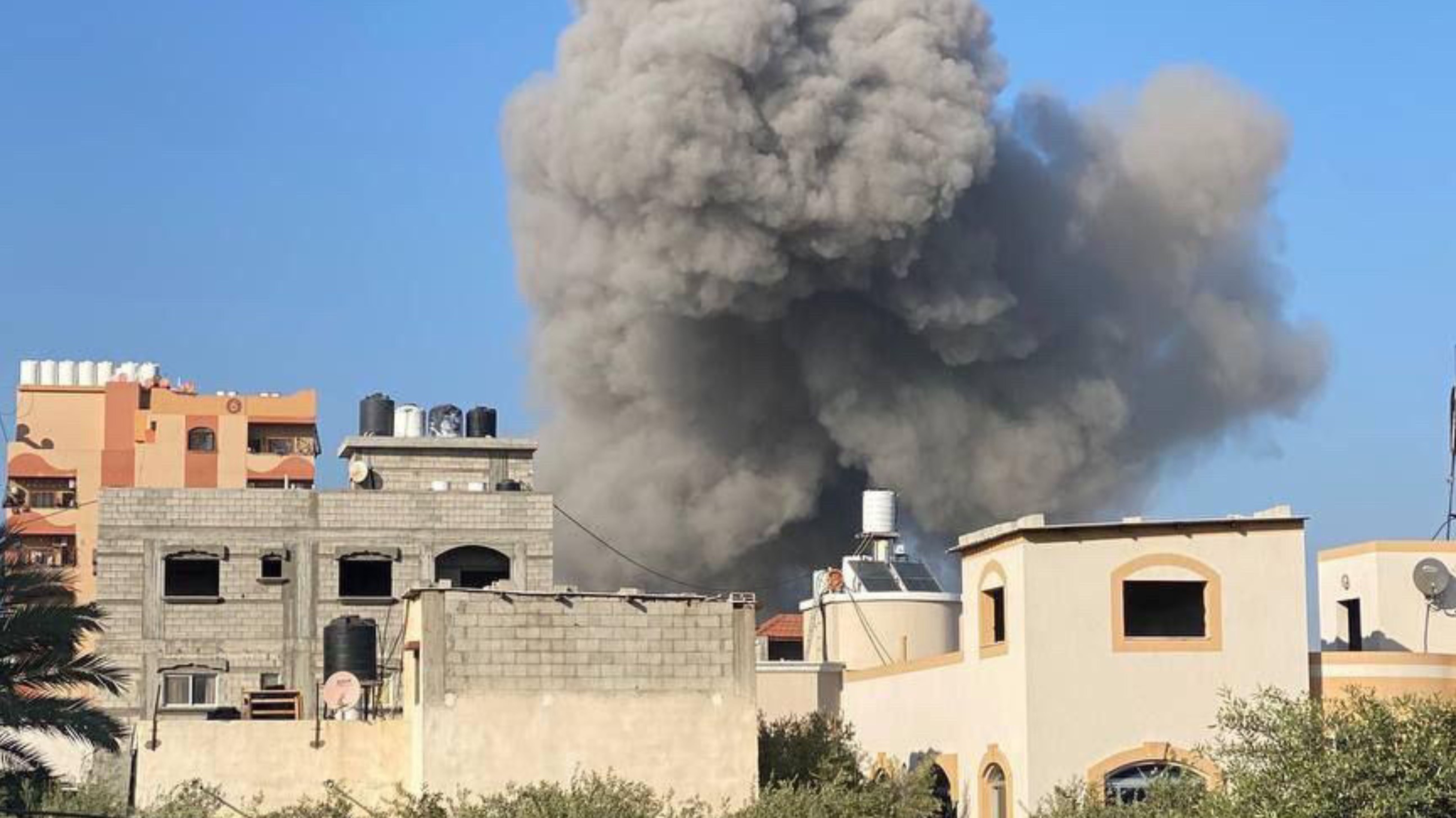 Deema : Help Deema’s family evacuate from Gaza thumbnail