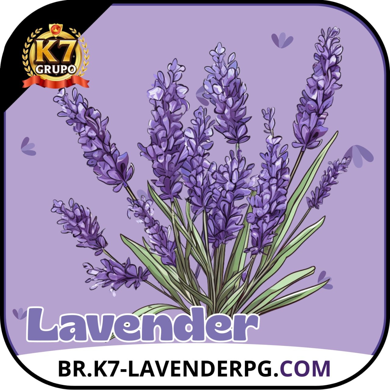 LAVANDERPG thumbnail