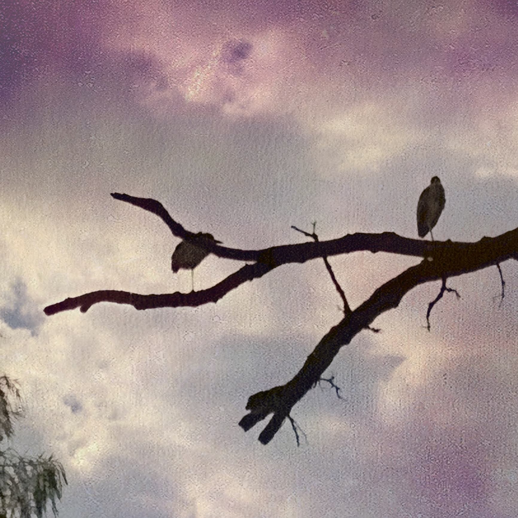 brave new world thumbnail