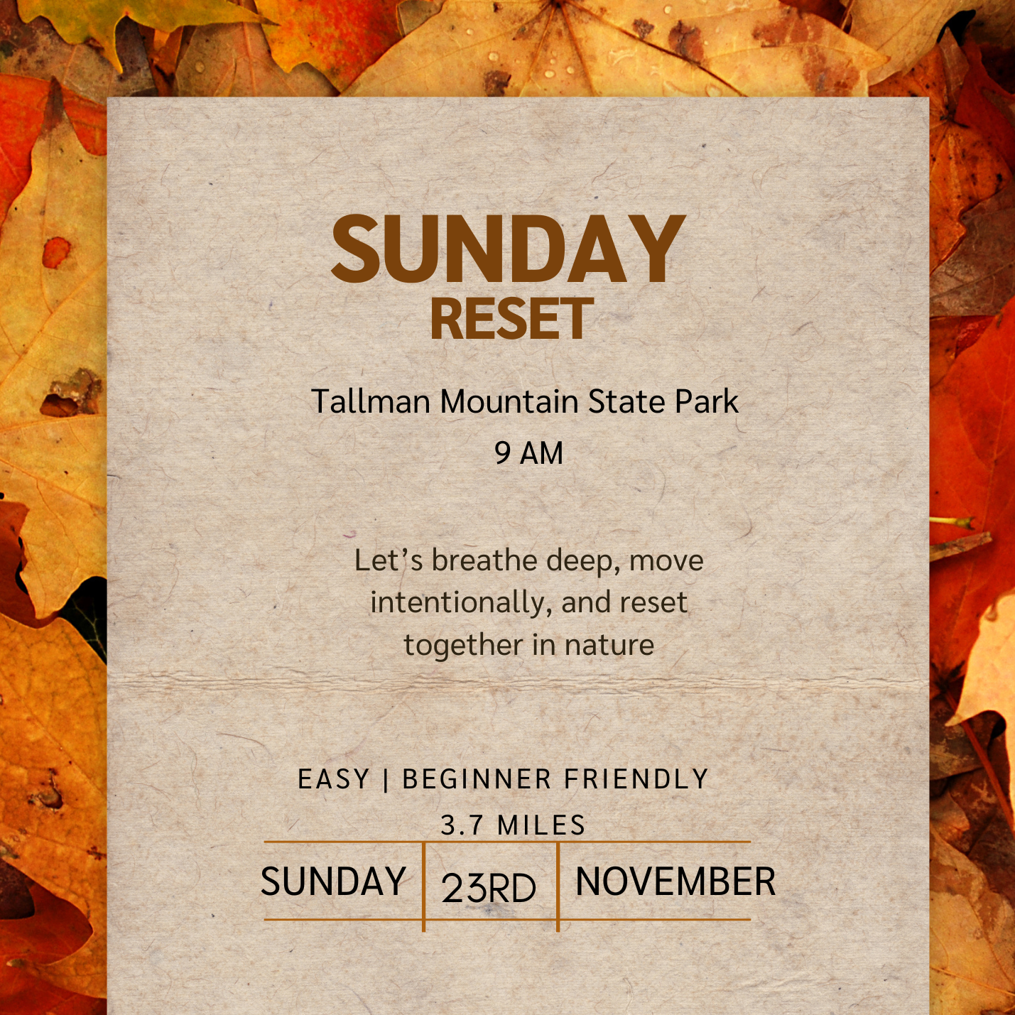 Sunday Reset - November 23rd thumbnail