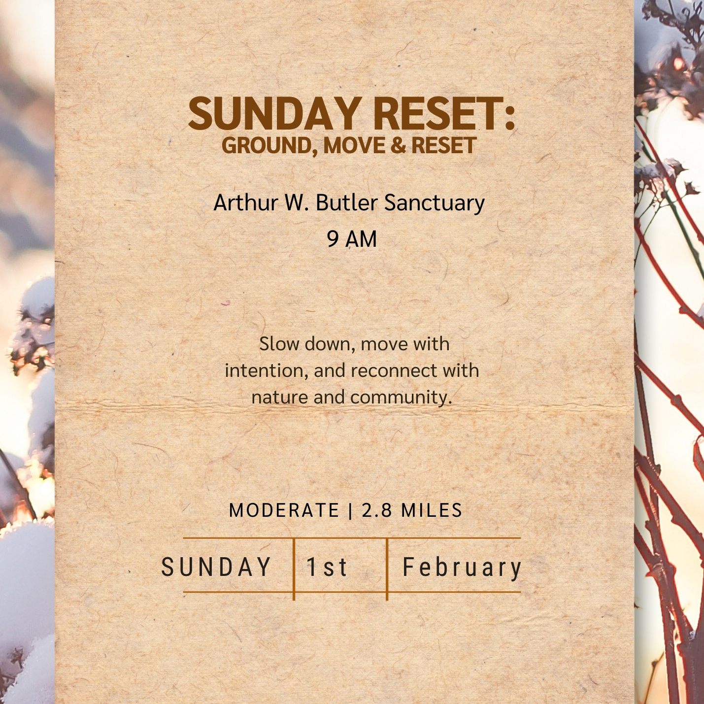 Sunday Reset: Ground, Move & Reset February 1st thumbnail