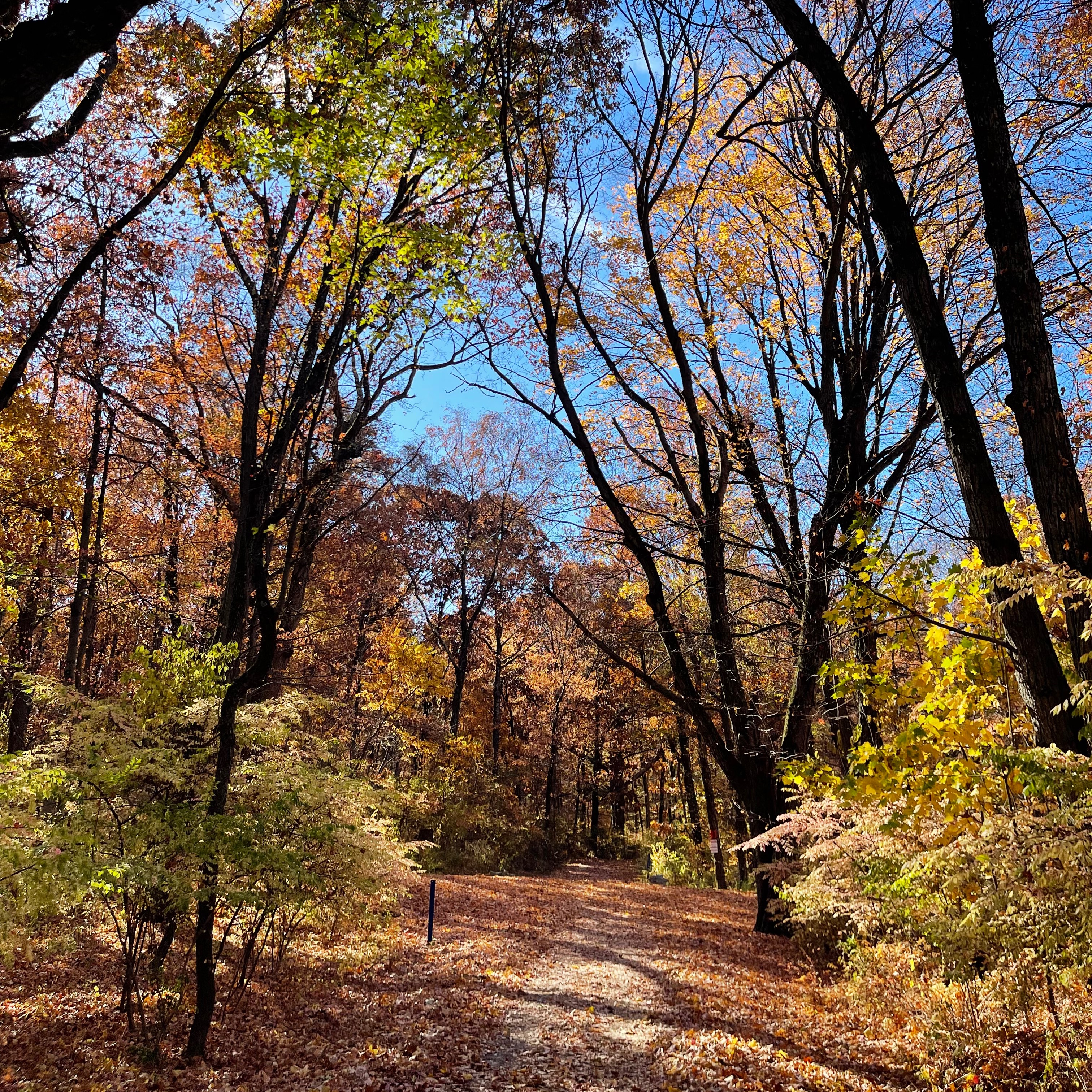 Saturday Refresh Hike Oct 11th thumbnail