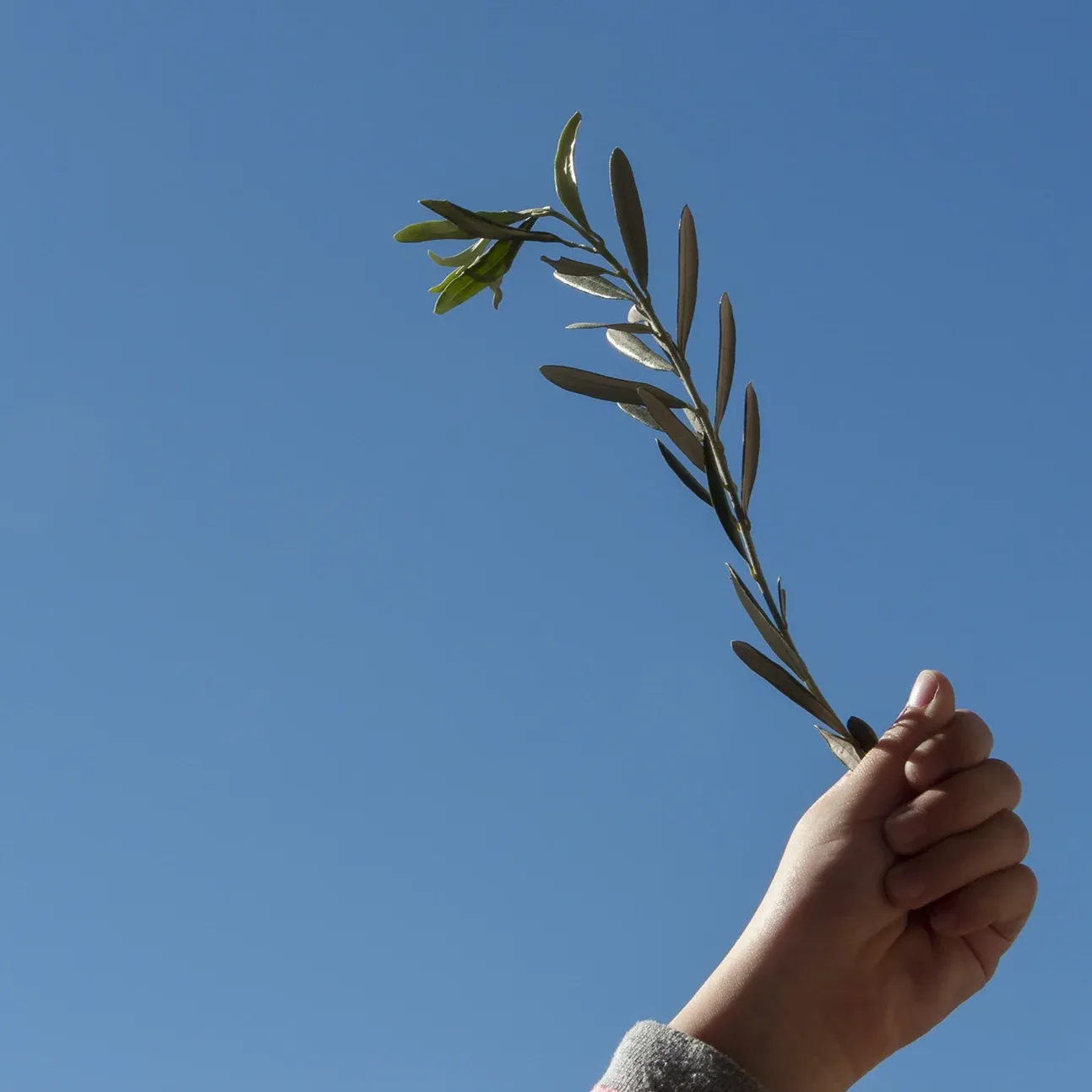 Take the Oliveda Skincare Quiz thumbnail