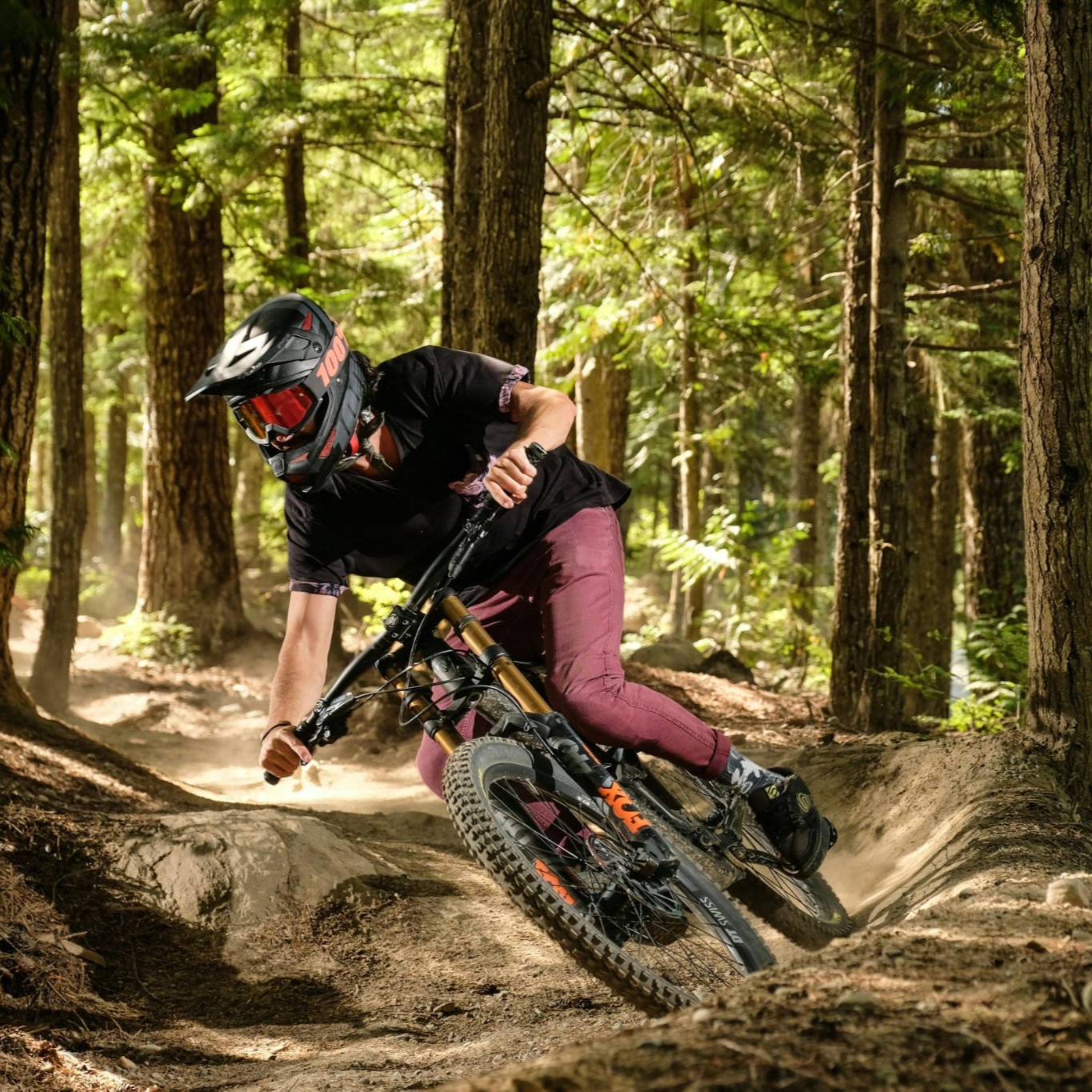 Guida Bike - E-bike - Tour guidati in tutte le Alpi thumbnail