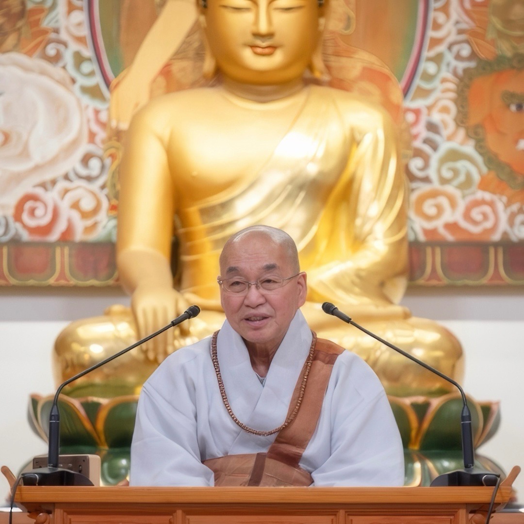 Dharma Q+A with Ven. Pomnyun Sunim: How Can I Maintain a Peaceful Mindset While Job Searching? thumbnail