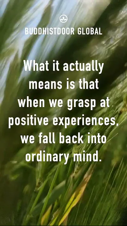 🪷 Buddhistdoor Quote for Today: Elizabeth Mattis-Namgyel 🪷 thumbnail