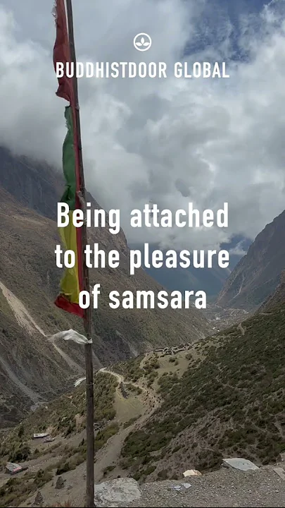 🪷 Buddhistdoor Quote for Today: Gampopa Sönam Rinchen (c. 1079–c. 1153) 🪷 thumbnail