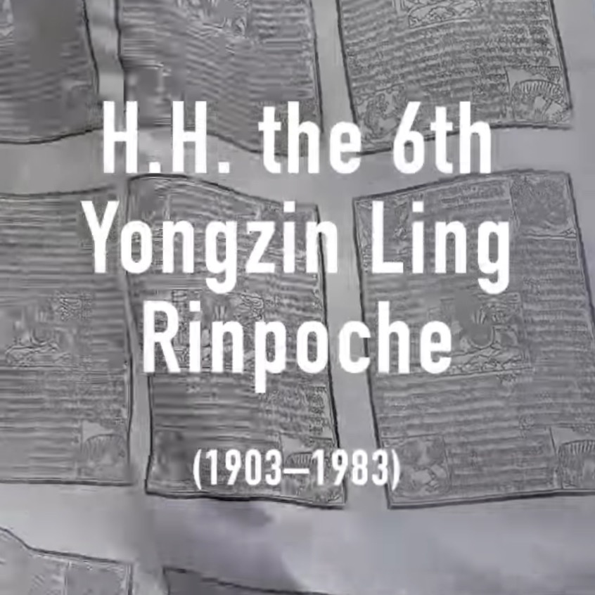 🪷 Buddhistdoor Quote for Today: His Holiness the Sixth Yongzin Ling Rinpoche (1903–1983) 🪷 thumbnail