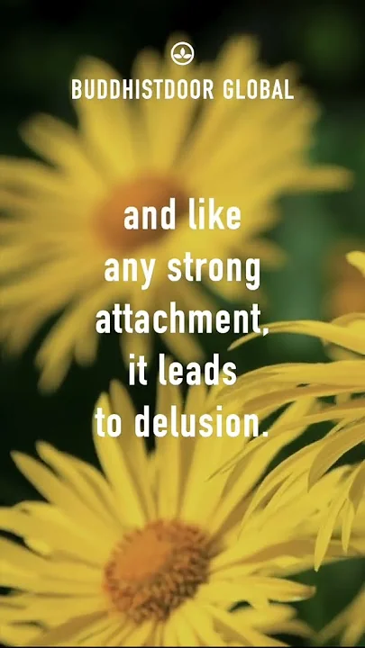 Buddhistdoor Quote for Today: Jon Kabat-Zinn thumbnail