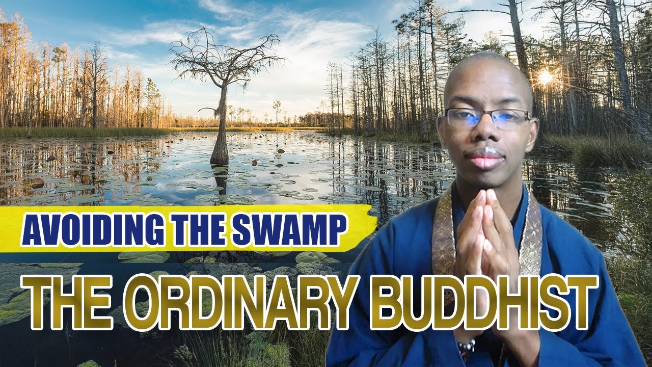The Ordinary Buddhist: Avoiding the Swamp thumbnail