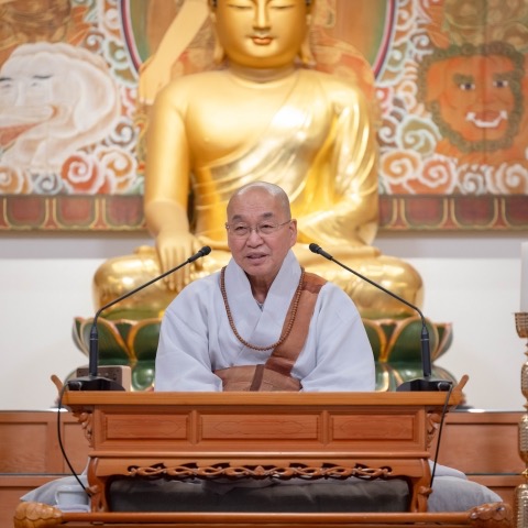 100 Days of Dharma: The Bodhisattva Path of Ven. Pomnyun Sunim thumbnail