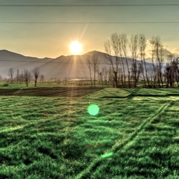 Notice the Beauty in the Present Moment thumbnail