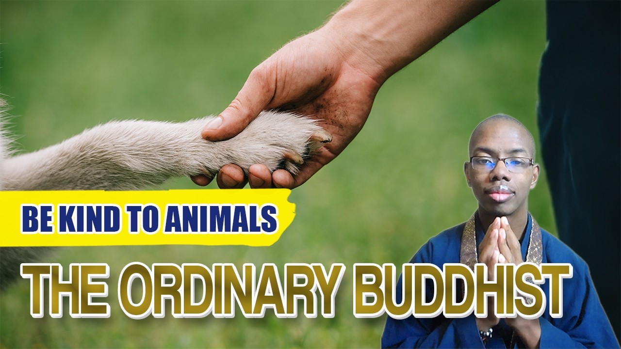 The Ordinary Buddhist: Be Kind to Animals thumbnail