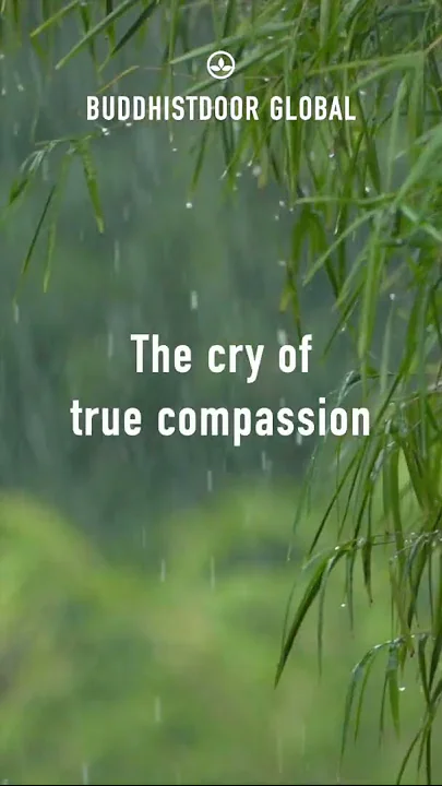 🪷 Buddhistdoor Quote for Today: Taitetsu Unno (1929–2014) 🪷 thumbnail