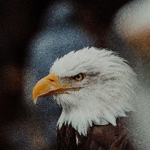 MÉTODO AGUIA GARANTA Á SUA VAGA  thumbnail