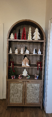 Book Shelf  thumbnail