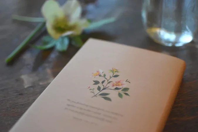 WTS Partner Offer: Mother’s Day Special — @diveindigdeep thumbnail