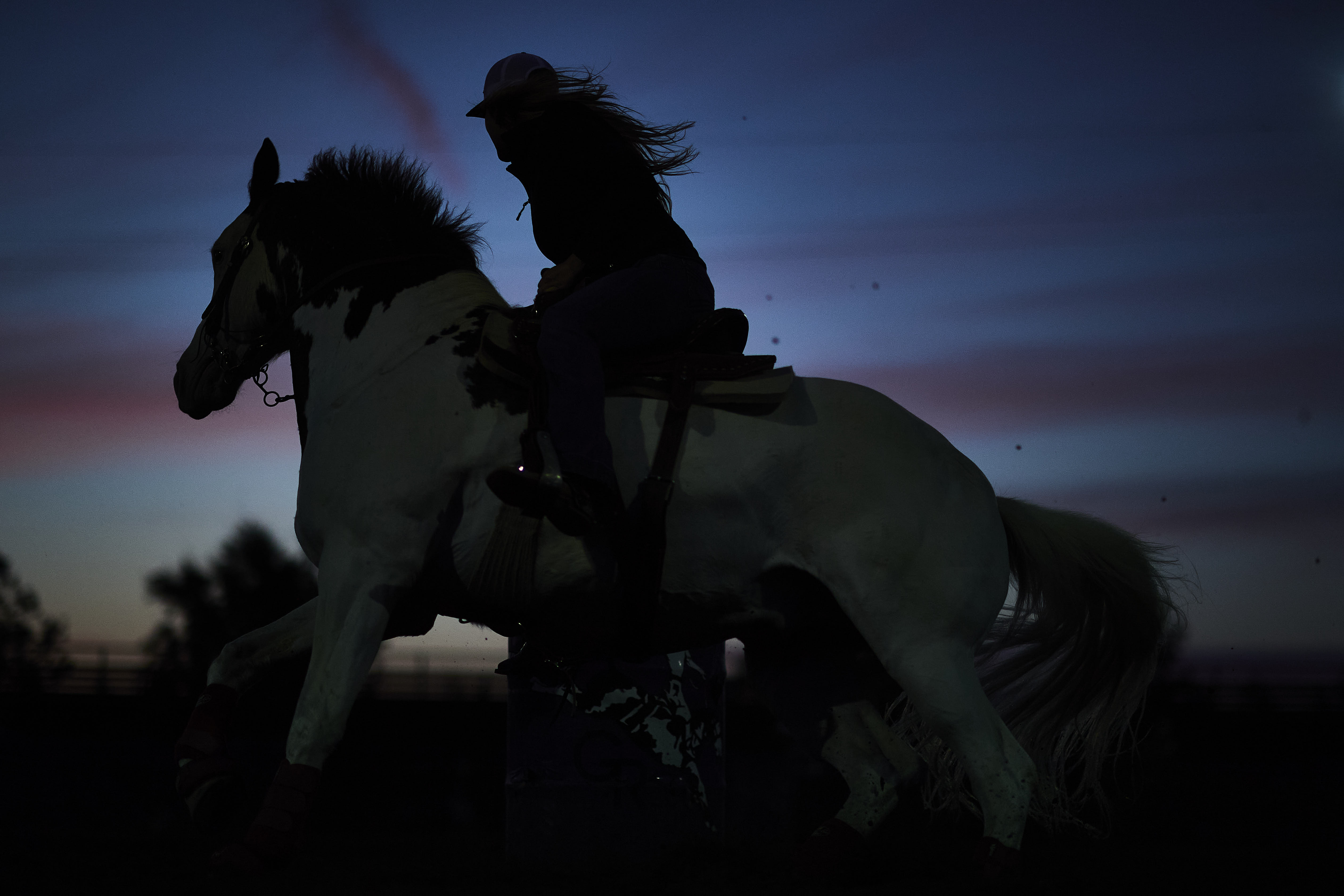 Buy Gilroy 2024 Pictures thumbnail