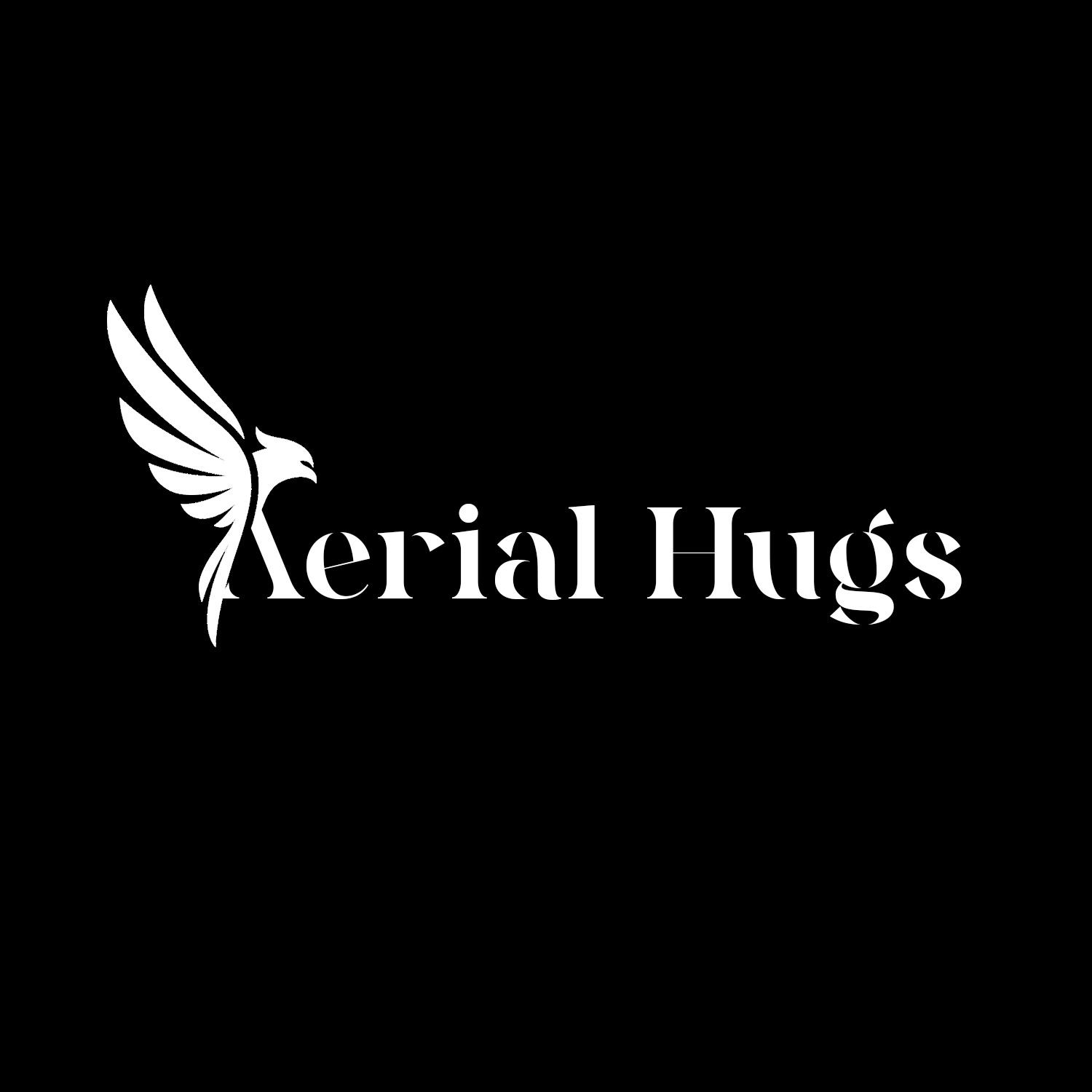 Aerial Hugs | Drone thumbnail