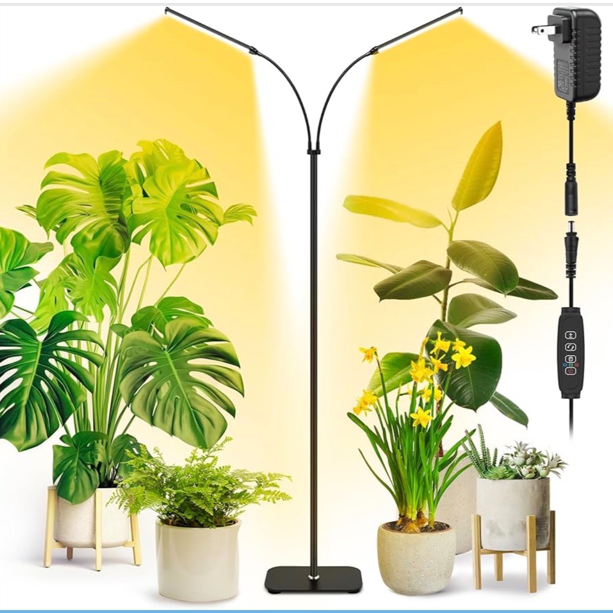 Amazon.com thumbnail