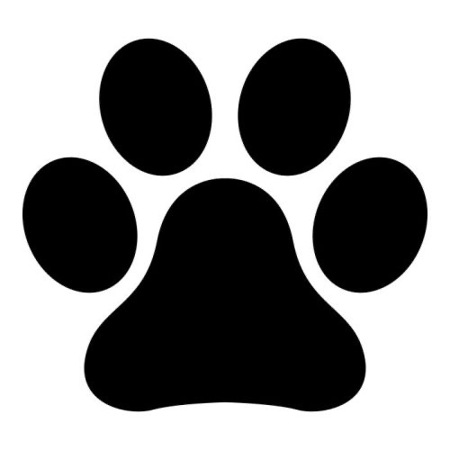 Adoptiekatten thumbnail