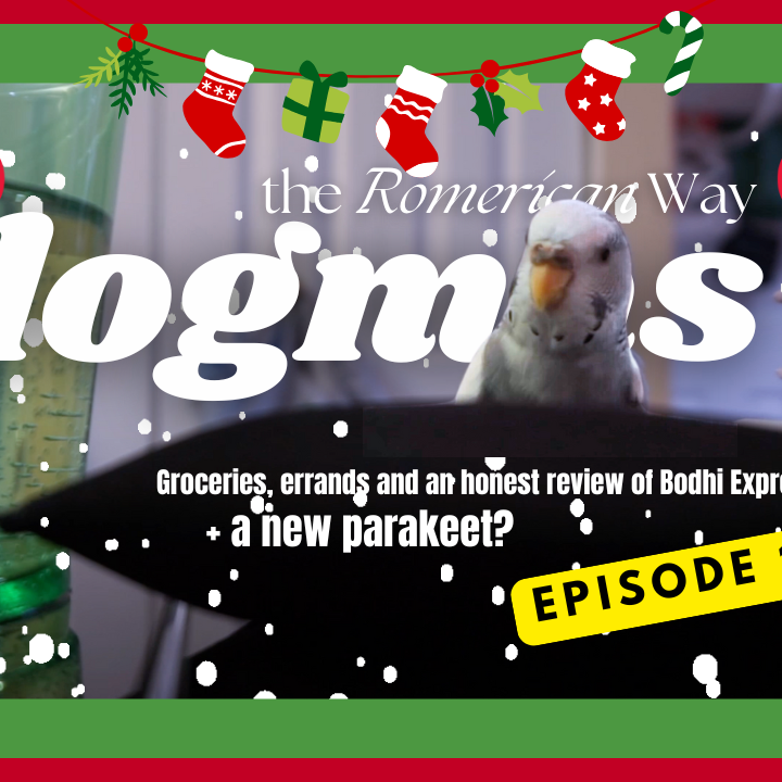 🎄 Vlogmas #16 |  🛒 Groceries, Bodhi Express Review + a New Parakeet? 🐦 thumbnail