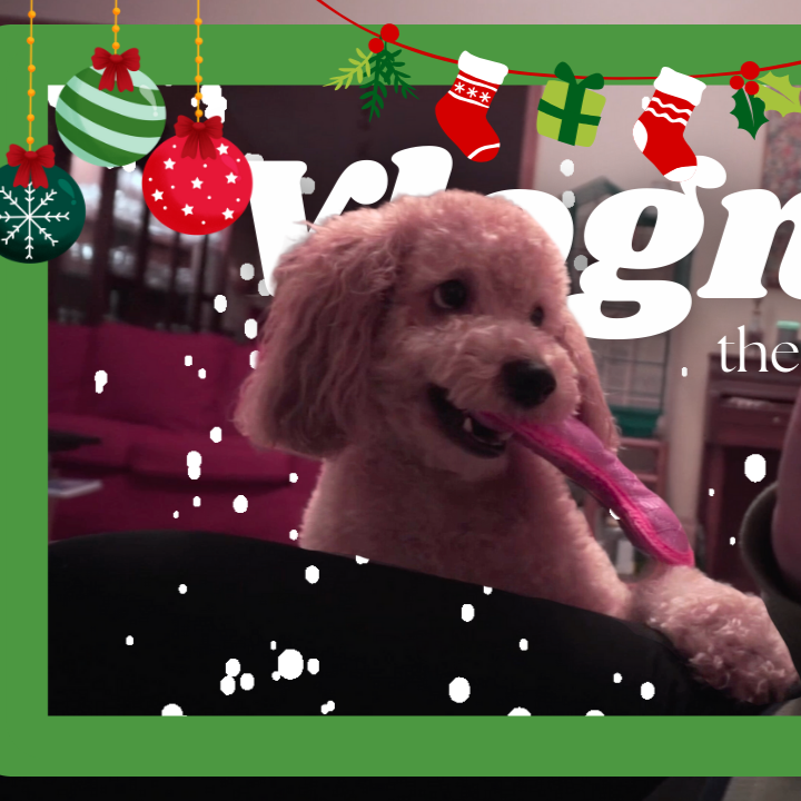 🎄 Vlogmas #15 | 🏡  Me, a dog 🐶 and 🐦 a parakeet | 🛋️ Home For The Holidays (Lazy Night In) thumbnail