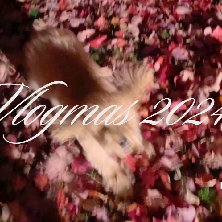 Vlogmas #3 | The one where Aaru gets stuck in a paper towel thumbnail
