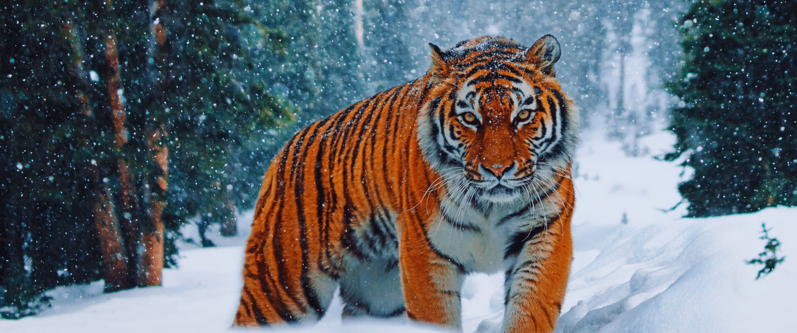 Ember Session (20 Minutes) thumbnail