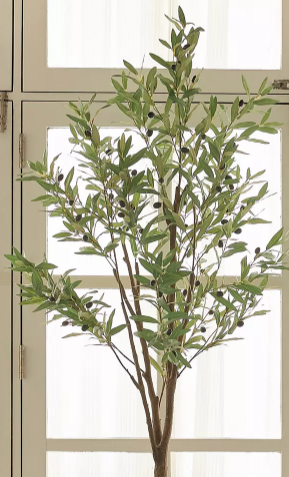 Olive Tree - 180 cm thumbnail