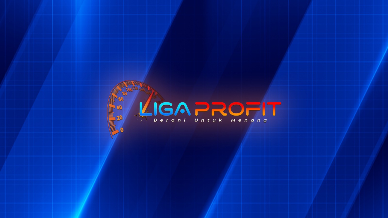 LIGAPROFIT thumbnail