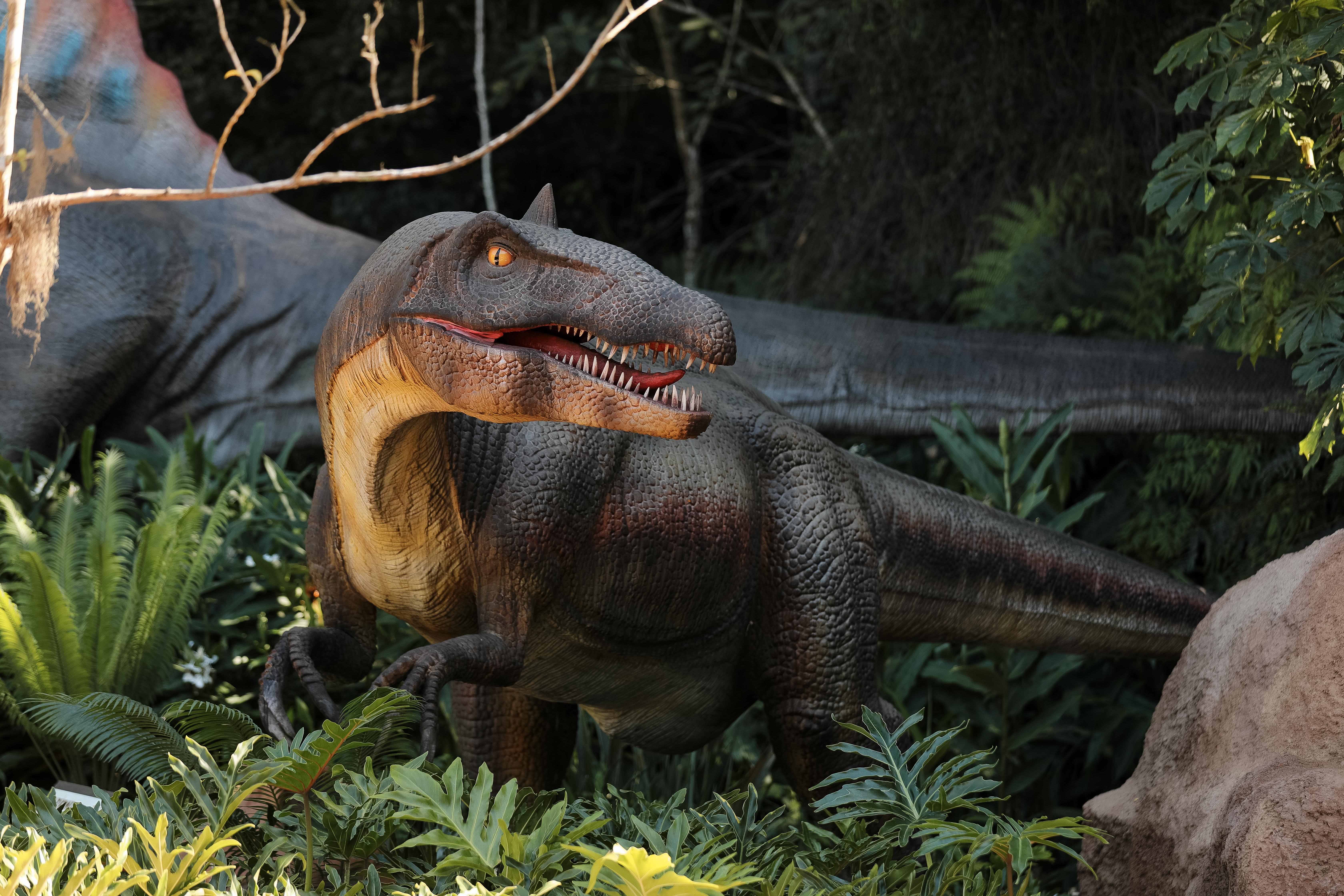 Paque Aventura Jurássica BC thumbnail