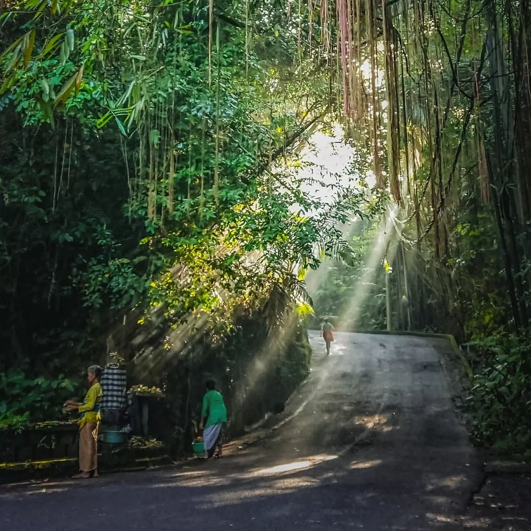 Sunrise in Ubud thumbnail