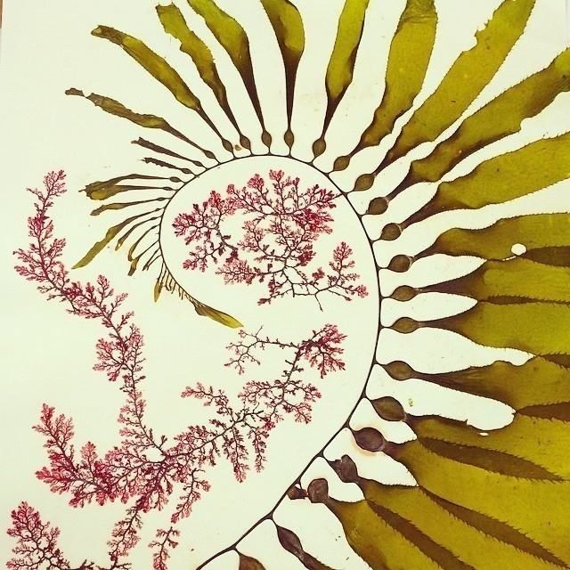 Build Business Credit Monthly thumbnail