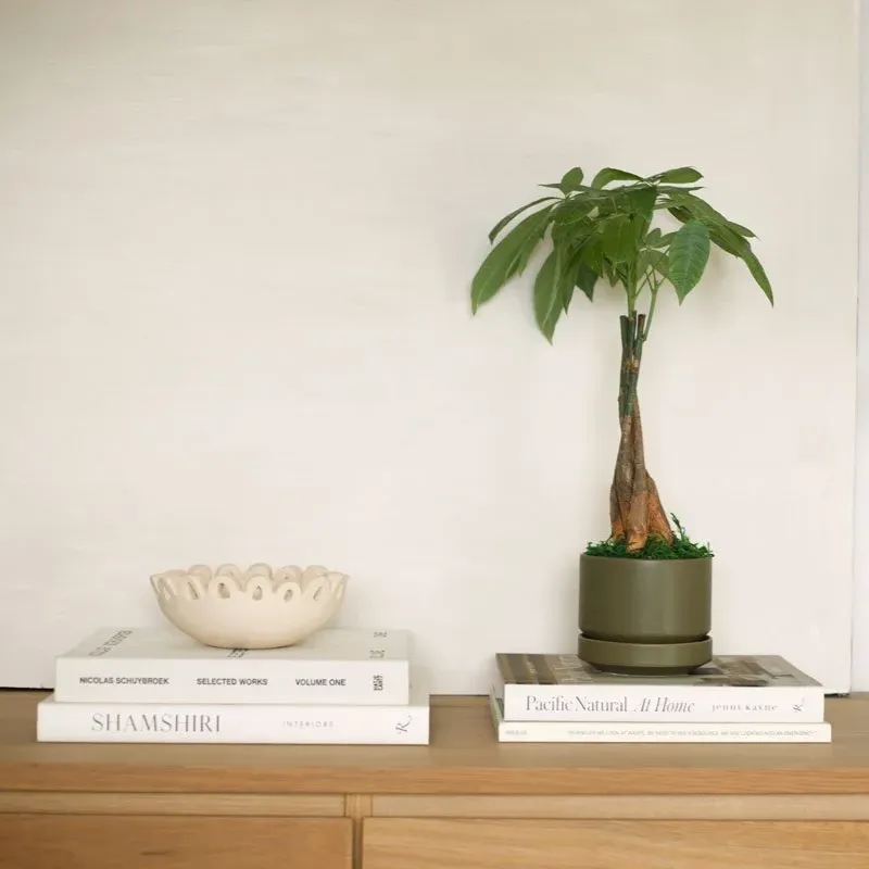 $100k Funding Challenge  thumbnail