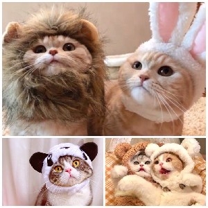 Lion Pets Head Piece pet Headband cat kucing comel thumbnail