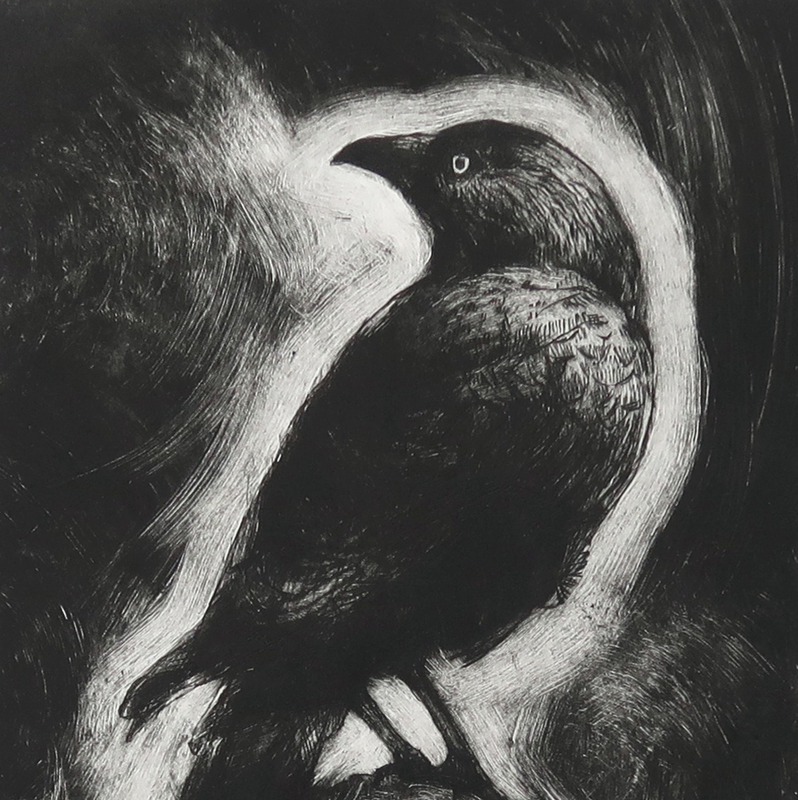 Fiona Hamilton at Soma Gallery thumbnail