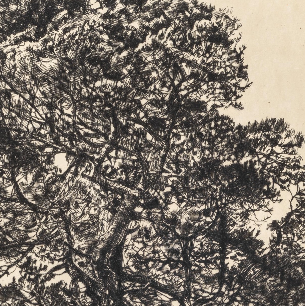 Latest work thumbnail