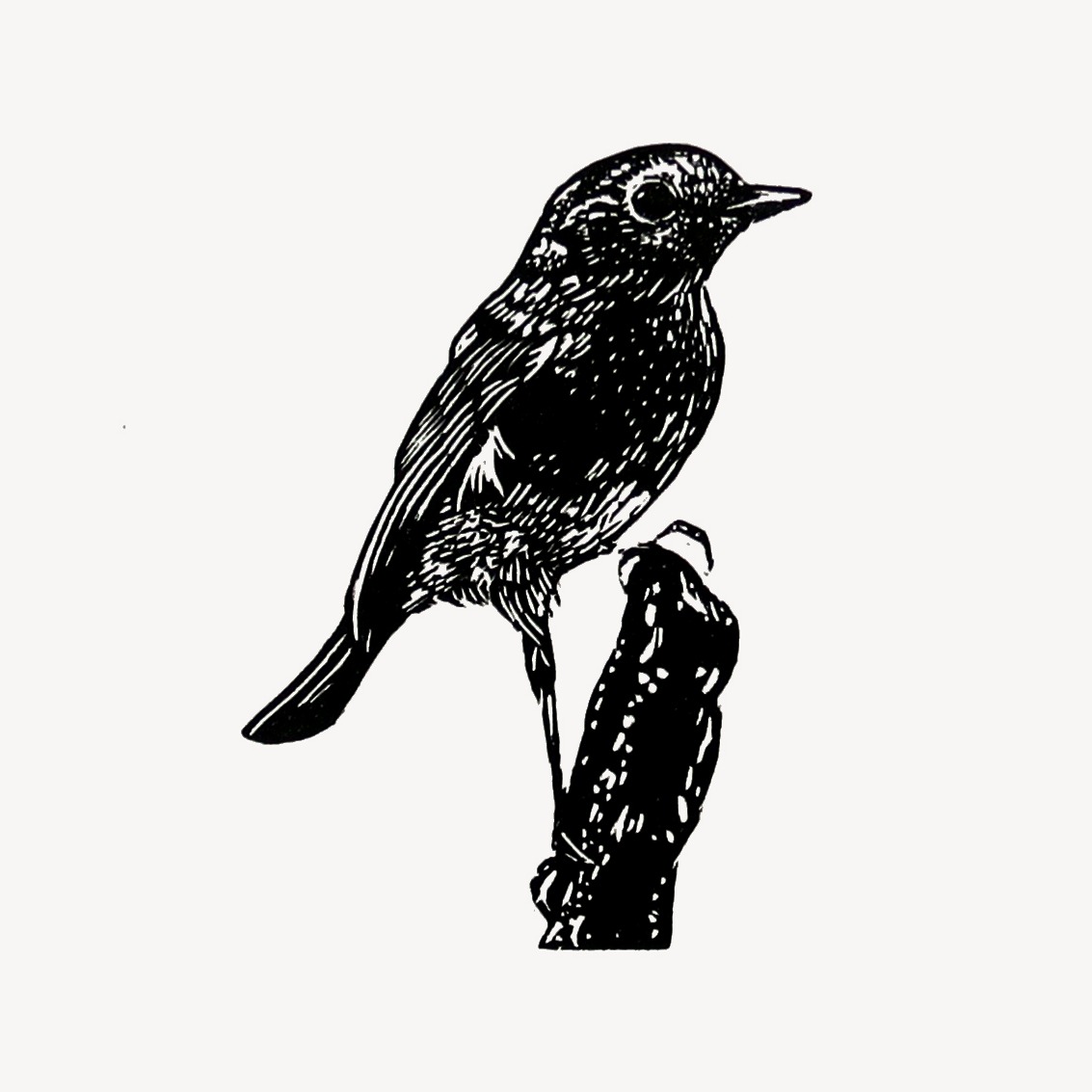 My website thumbnail