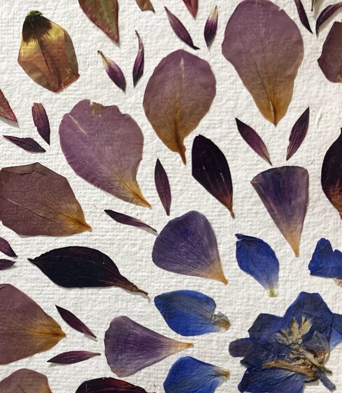 KEPT studio thumbnail