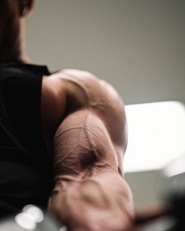 DÉVELOPPEMENT MUSCULAIRE  thumbnail