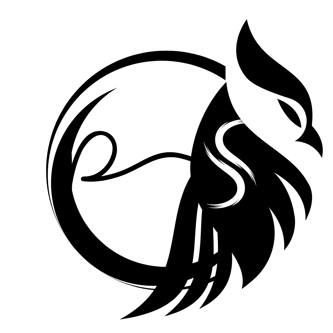 Patrick Wong Bio Site