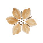           Investment/Packages thumbnail