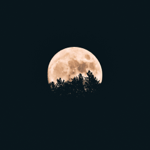 Full Moon Yoga Healing rezervace  thumbnail