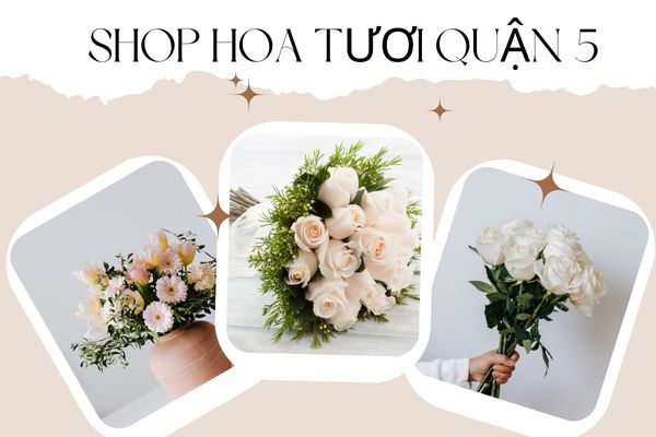Shop hoa tươi Quận 5 - Dịch vụ điện hoa nhanh, hoa đẹp thumbnail